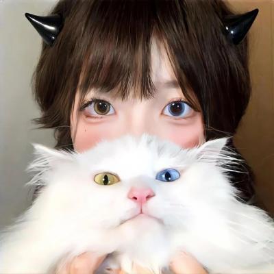 伤物语1：铁血篇